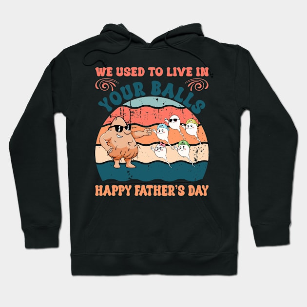 We used to live in your balls happy Gift For Men Father day Hoodie by Patch Things All